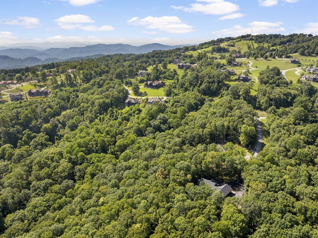 Haus in Hendersonville, North Carolina, Vereinigte Staaten 2 - 18603800