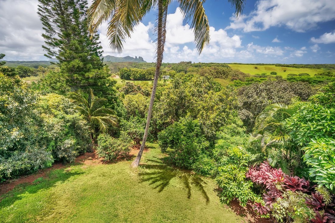 House in Kapaʻa, Hawaii, United States 3 - 18717700