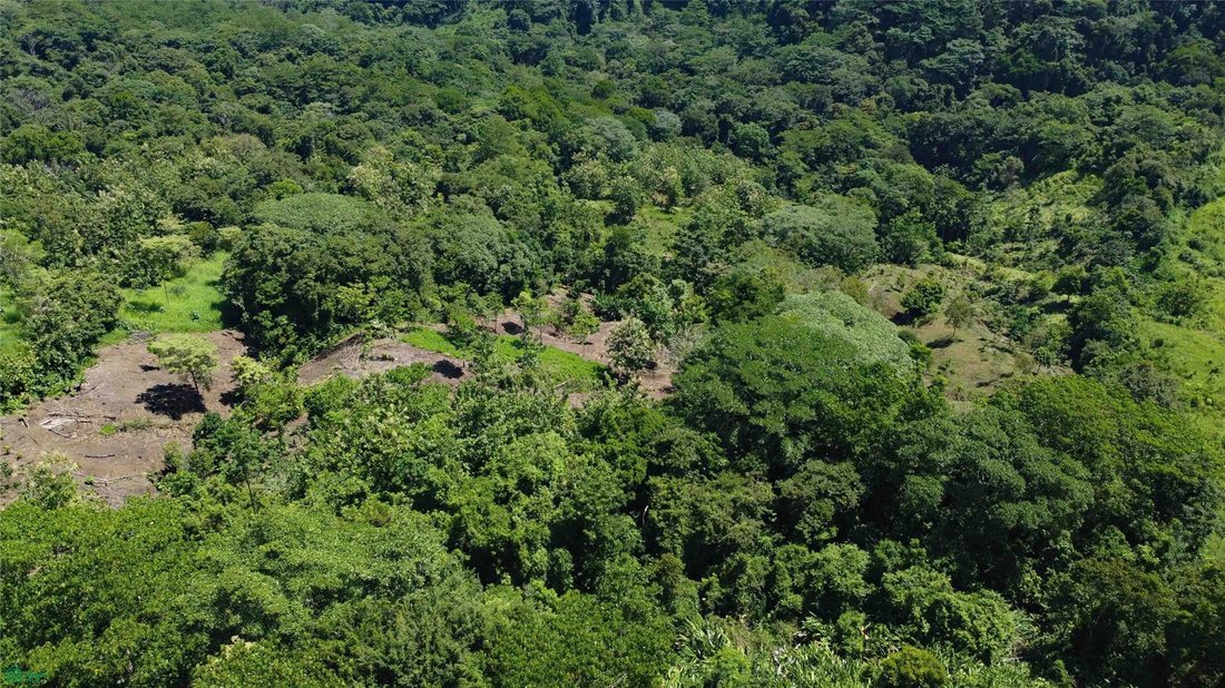 Terreno a Pavones, Provincia di Puntarenas, Costa Rica 4 - 18637527