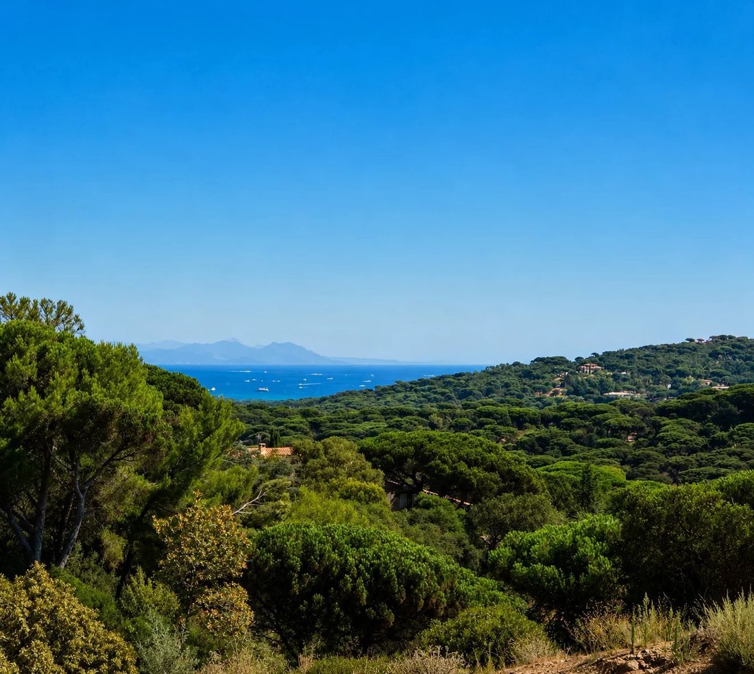 Terrain à Ramatuelle, Provence-Alpes-Côte d'Azur, France 3 - 18704467