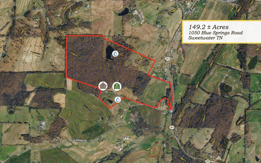 Azienda agricola a Madisonville, Tennessee, Stati Uniti 5 - 18718149