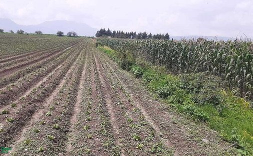 Terreno a San Antonio la Isla, Stato del Messico, Messico 1
