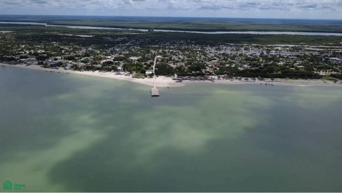 Land in Celestún, Yucatán, Mexiko 5 - 17811076