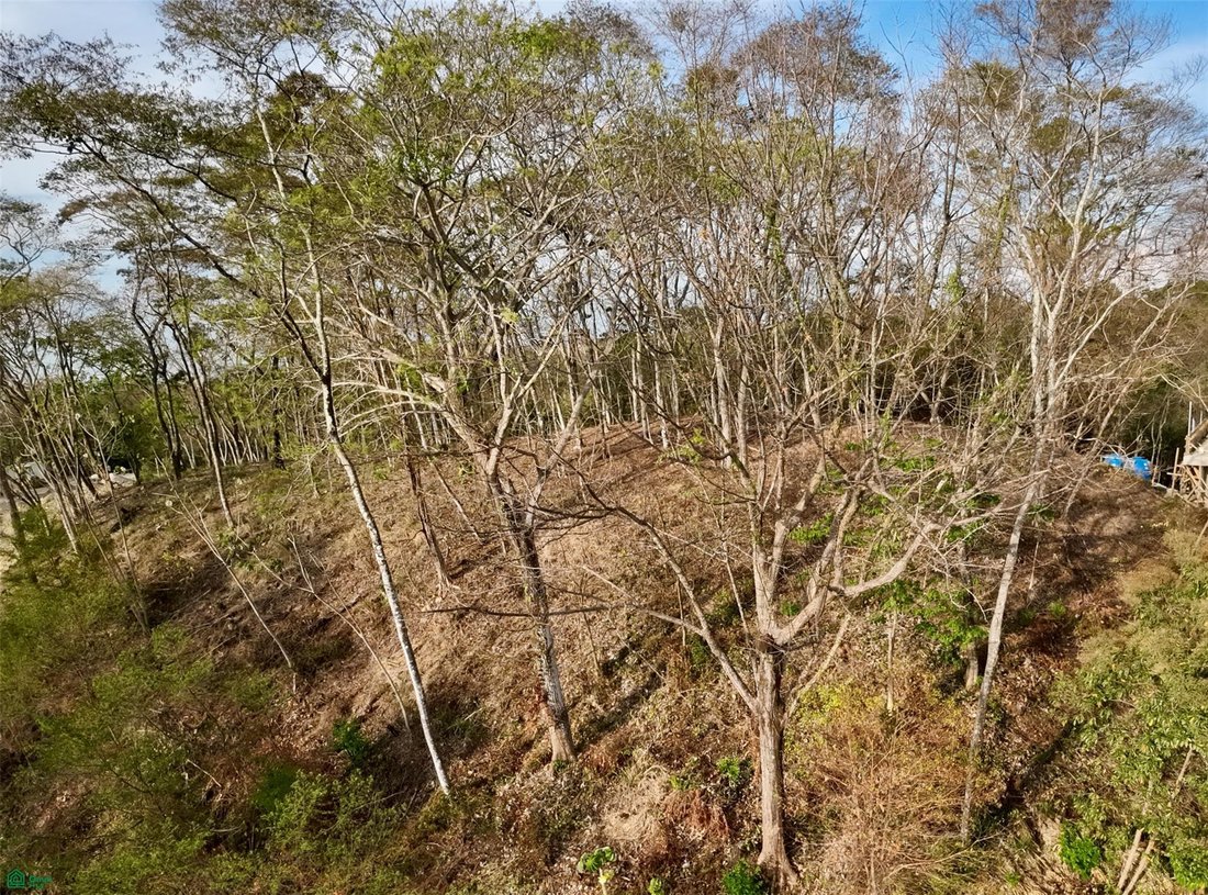 Land in Santiago, Puntarenas Province, Costa Rica 2 - 18717951