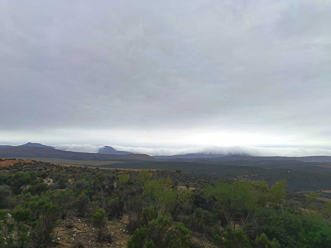 Corps de ferme à Oudtshoorn, Cap occidental, Afrique du Sud 5 - 18717618