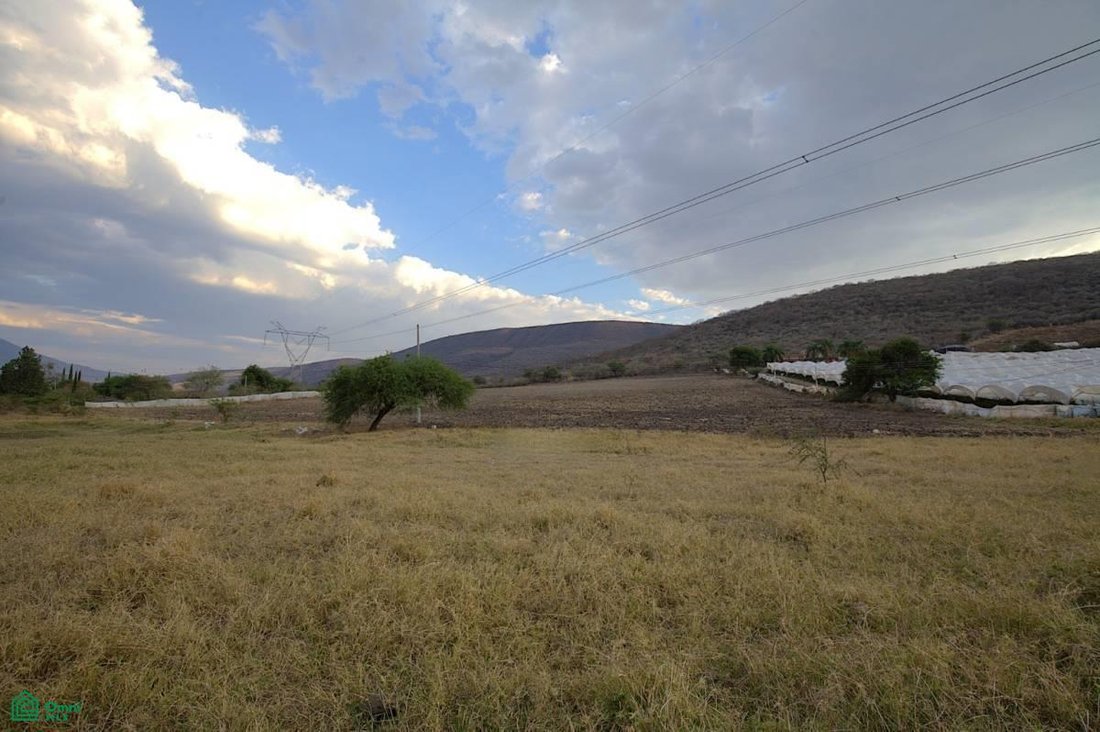 Terreno a San Martin, Jalisco, Messico 3 - 17845434