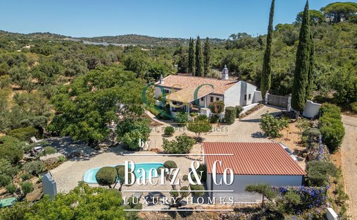Villa in Loule (Sao Clemente), Algarve, Portugal 1