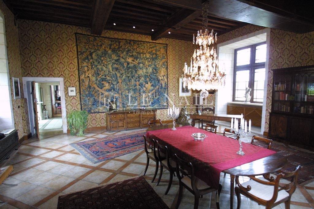 Castle in Le Blanc, Centre-Val de Loire, France 4 - 12577123