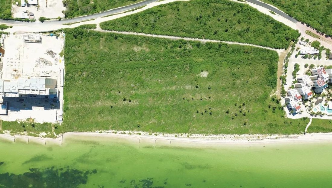 Land in Telchac Puerto, Yucatan, Mexico 3 - 18717023