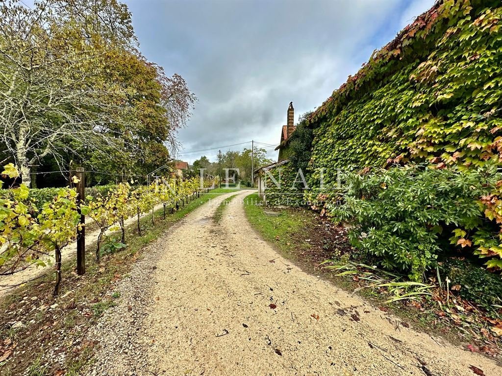 Azienda agricola a Vieux Bergerac, Bergerac, Francia 2 - 13600161