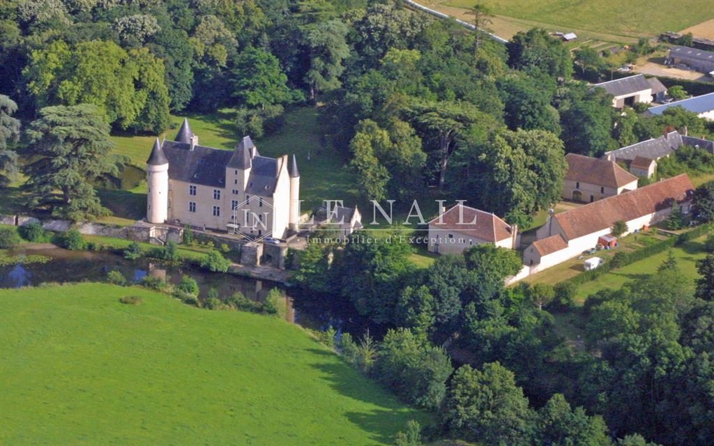Castle in Le Blanc, Centre-Val de Loire, France 2 - 12577123