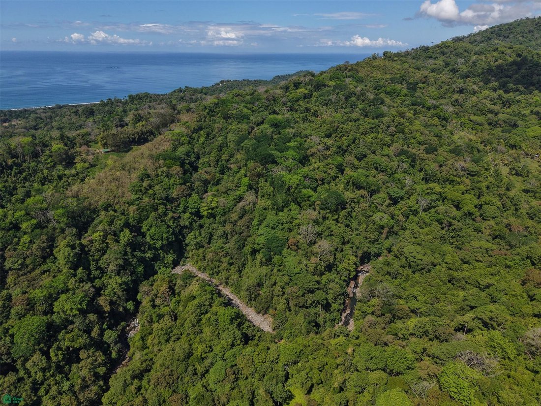 Land in Corredor, Corredores, Costa Rica 3 - 17903776
