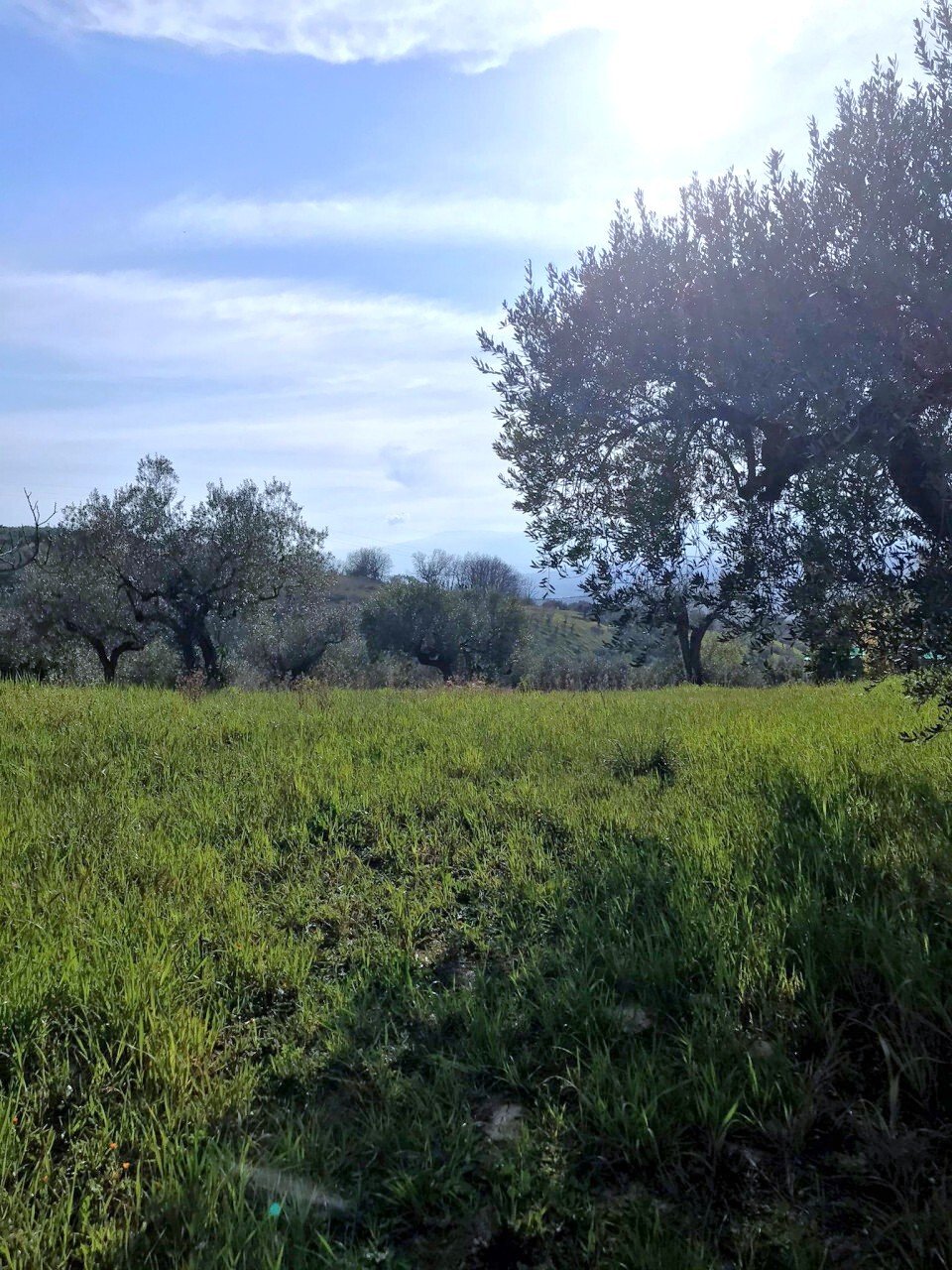 Land in Montesilvano Colle-Via Alcide de Gasperi, Montesilvano, Abruzzen 5 - 18719939