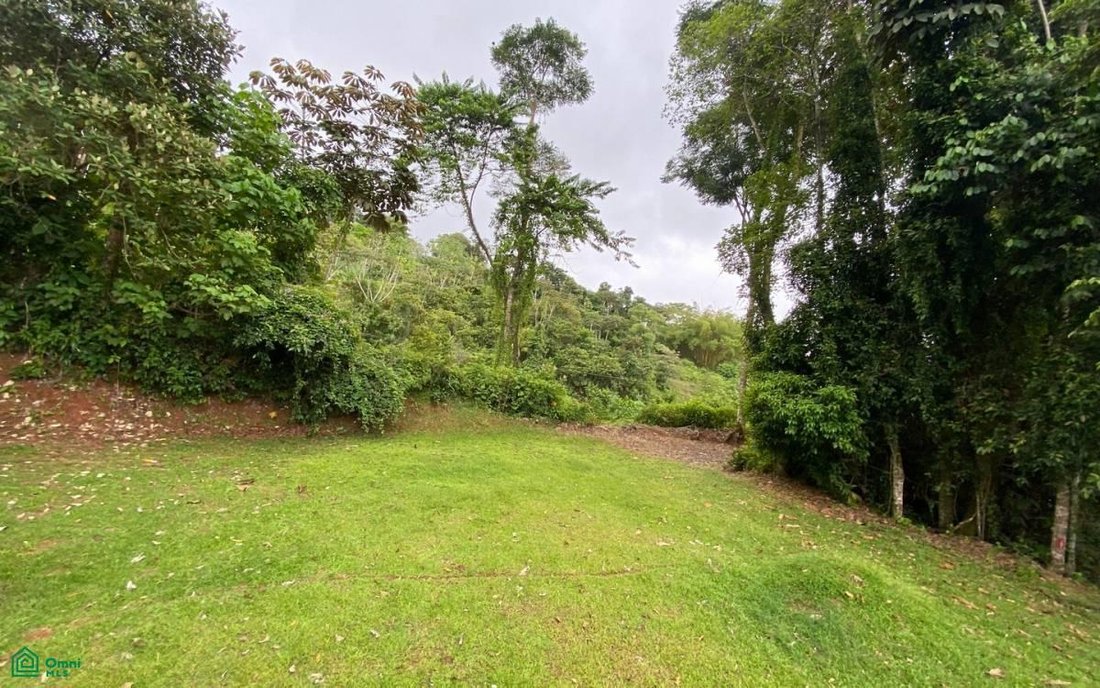 Land in Piñuela, Puntarenas Province, Costa Rica 3 - 17804588