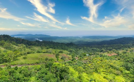 Terreno a Sierpe, Provincia di Puntarenas, Costa Rica 1