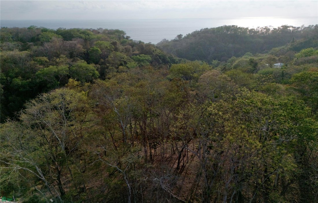Land in Santiago, Puntarenas Province, Costa Rica 5 - 18717951