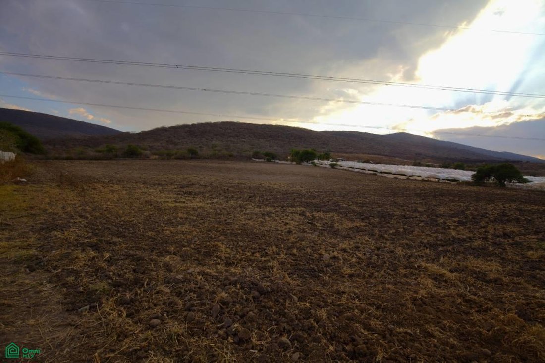 Terreno a San Martin, Jalisco, Messico 5 - 17845434