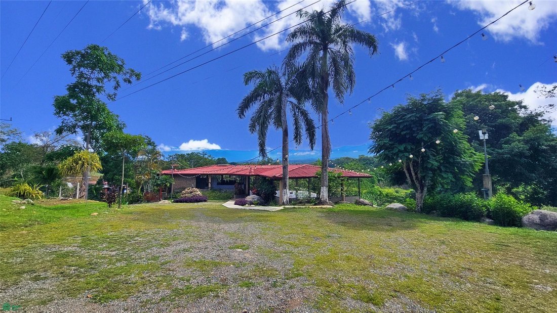 Terrain à Daniel Flores, Pérez Zeledón, Costa Rica 1 - 18255218