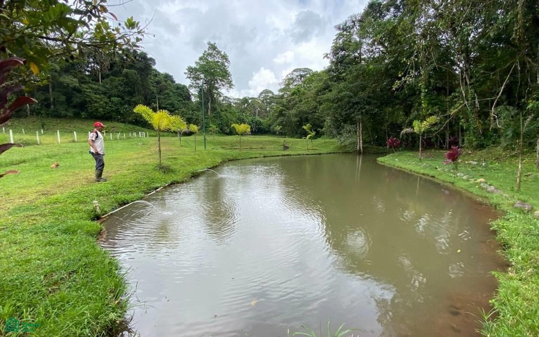 Land in Pérez Zeledón, Costa Rica 3 - 17804576