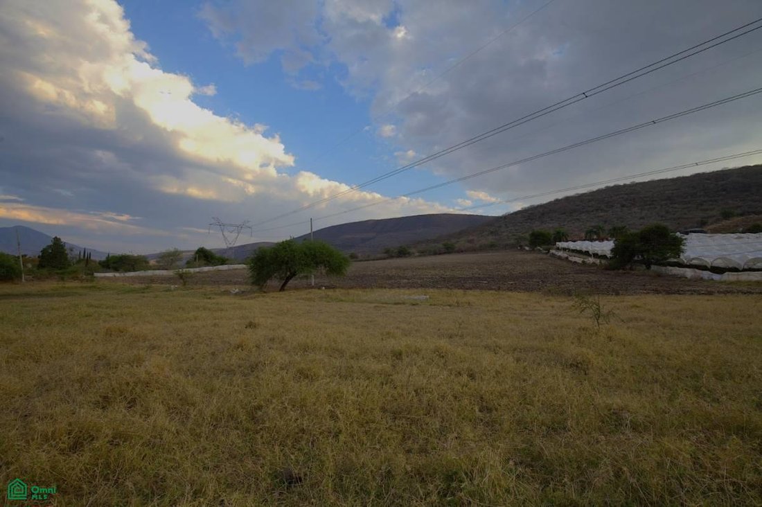 Terreno a San Martin, Jalisco, Messico 4 - 17845434