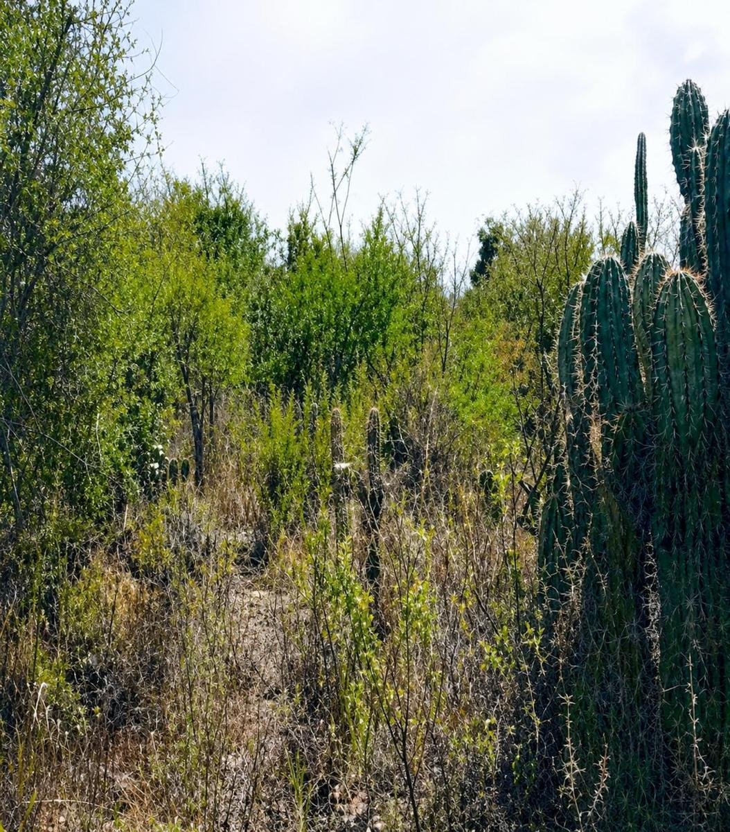 Land in San Miguel de Allende, Guanajuato, Mexico 3 - 18717750