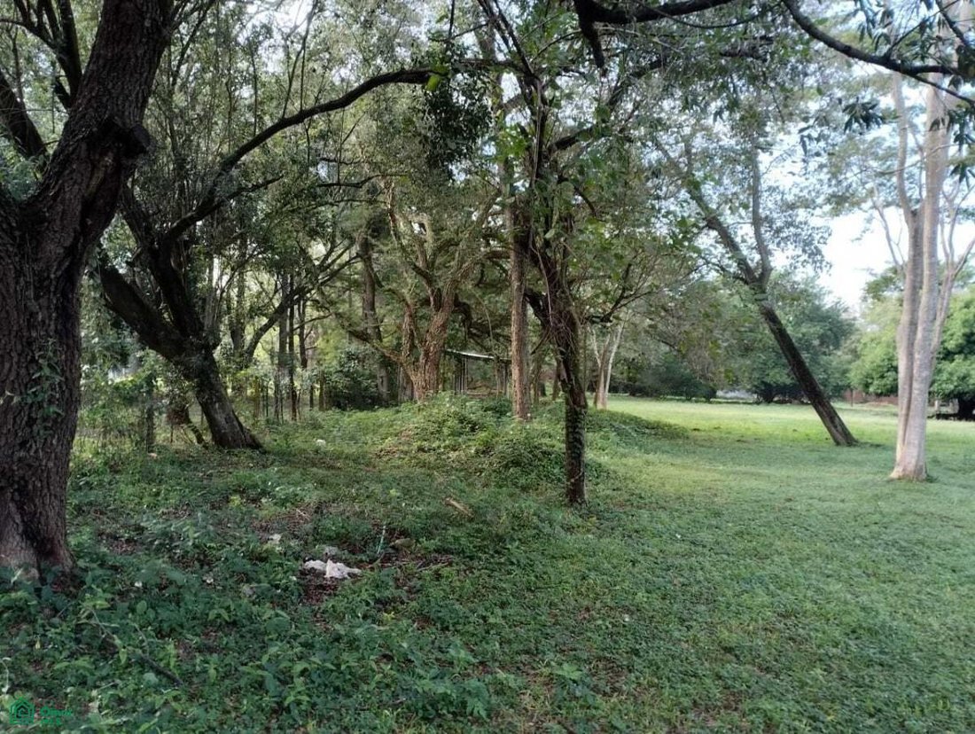 Terreno en Luque, Central, Paraguay 5 - 18535283