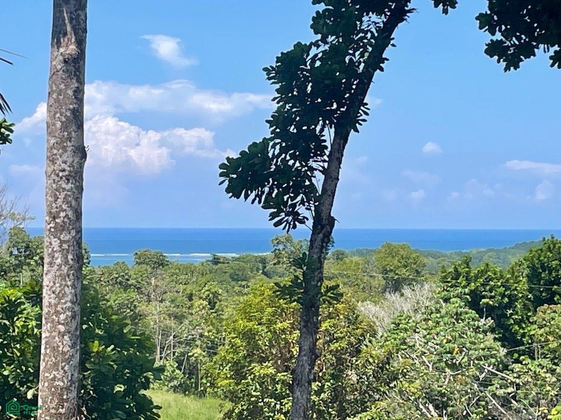 House in Uvita, Puntarenas Province, Costa Rica 5 - 17088543