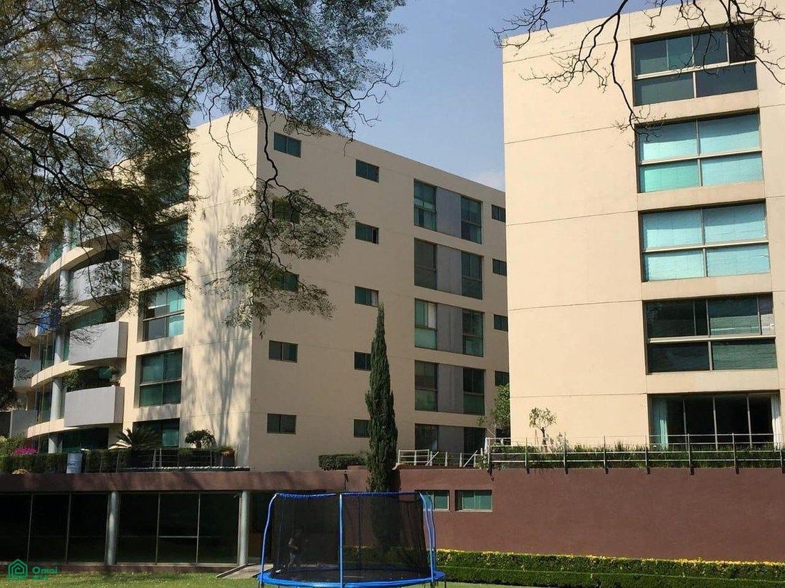 Condo in Mexico City, Mexico 4 - 18396247