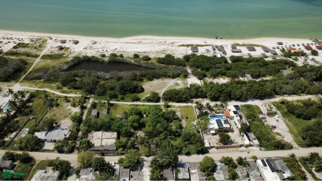 Land in Celestún, Yucatán, Mexiko 2 - 17811076