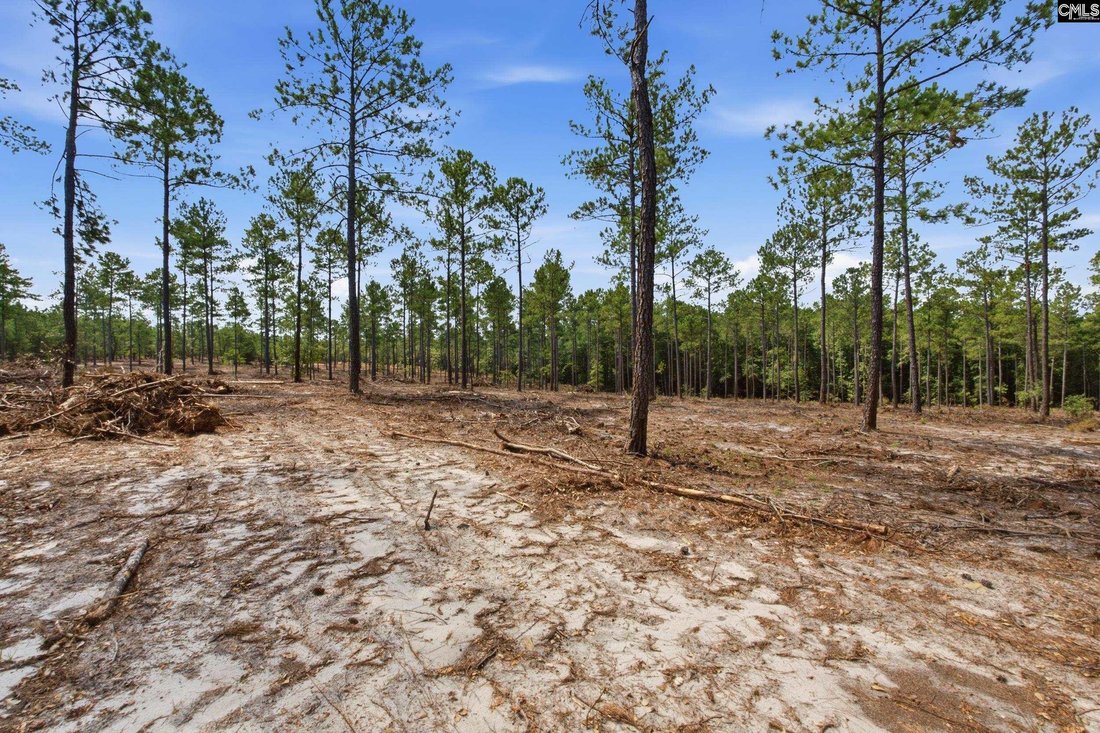 Land in Kershaw, South Carolina, United States 3 - 18342166