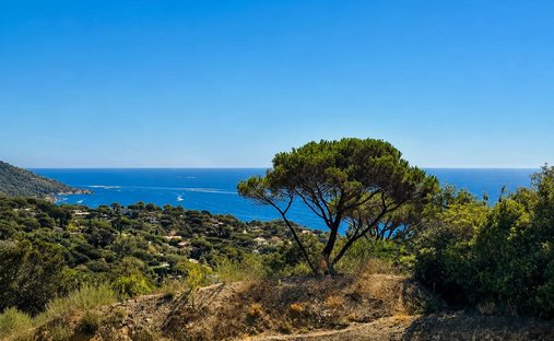 Land in Ramatuelle, Provence-Alpes-Côte d'Azur, Frankreich 1