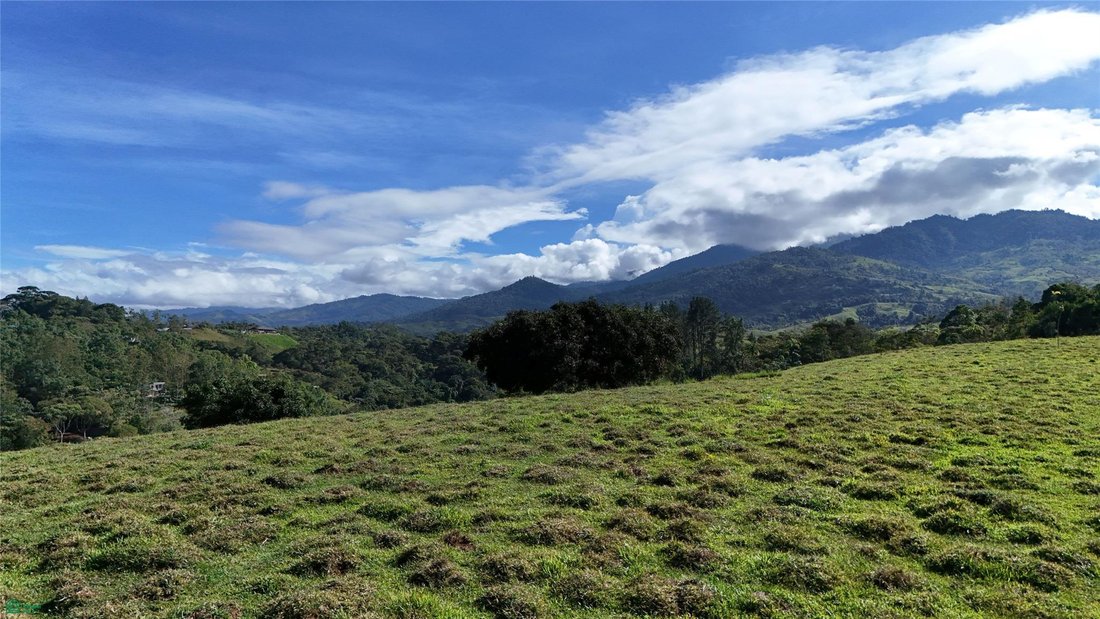 Land in Cajón, Pérez Zeledón, Costa Rica 4 - 18407902