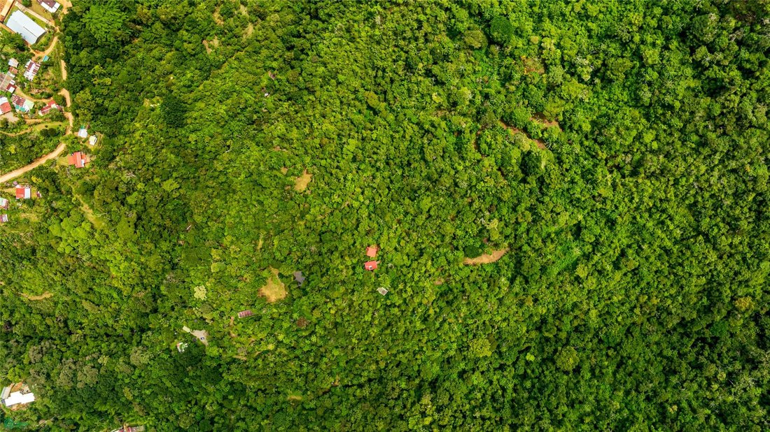 Land in Rivas, San José Province, Costa Rica 4 - 18122180