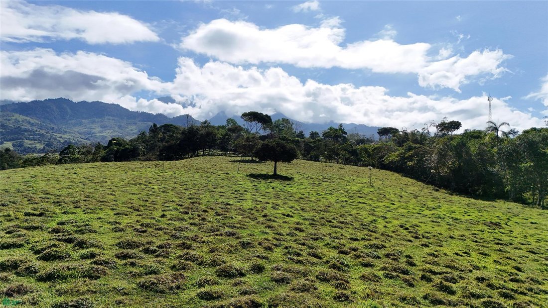 Land in Cajón, Pérez Zeledón, Costa Rica 3 - 18407902