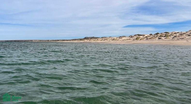 Land in San Ignacio, Baja California Sur, Mexico 4 - 17804543