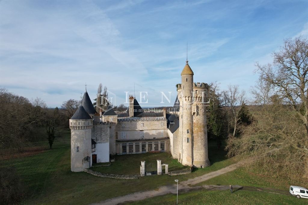 Schloss in Sancoins, Zentrum-Loiretal, Frankreich 3 - 13772545