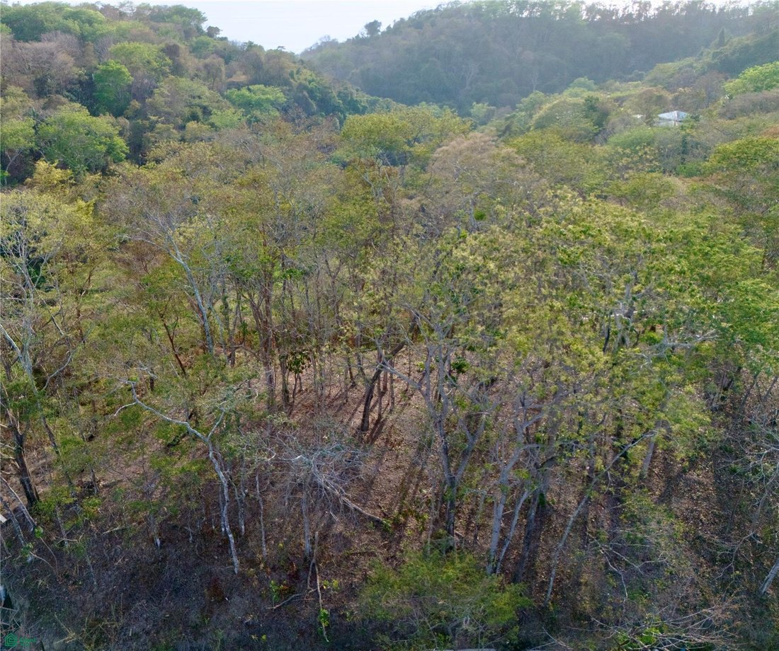 Land in Santiago, Puntarenas Province, Costa Rica 5 - 18717943