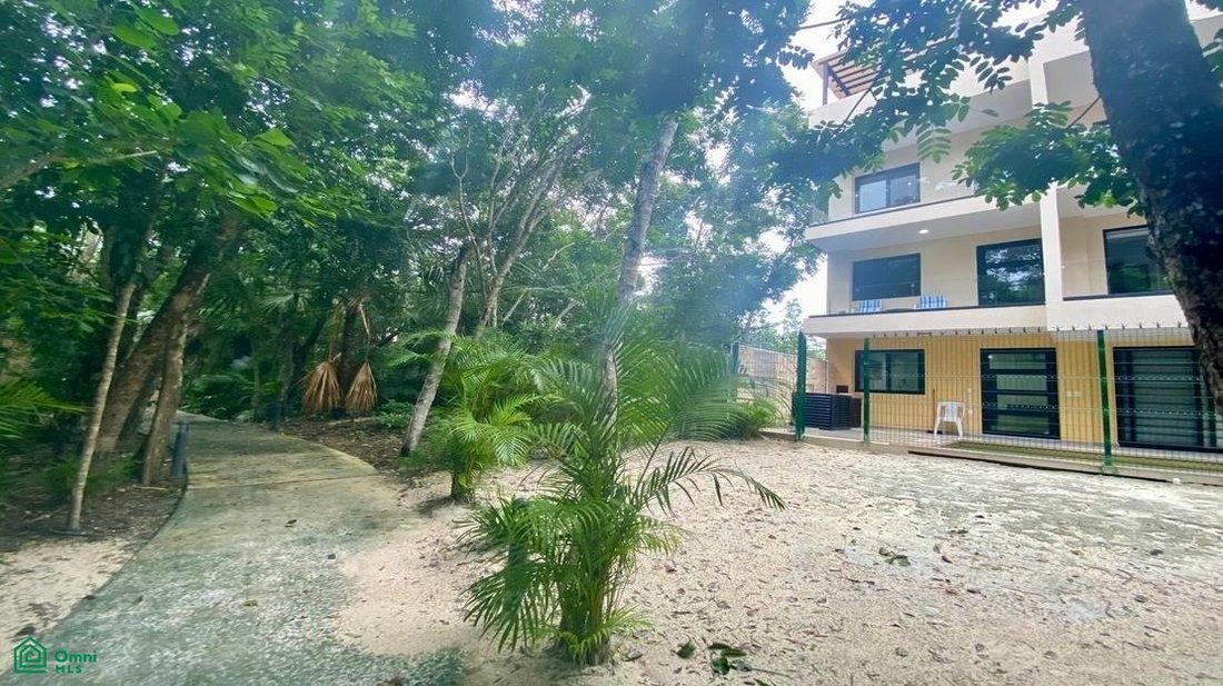 Playa del Carmen, Quintana Roo, Mexico 2 - 17232308