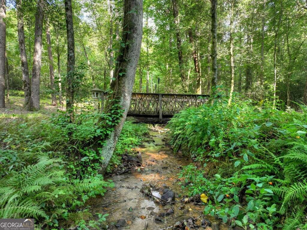 House in Ellijay, Georgia, United States 3 - 18719272