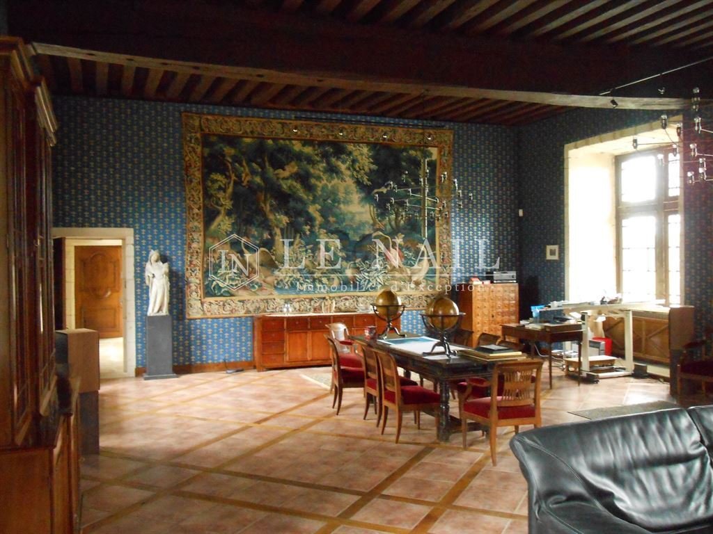 Castle in Le Blanc, Centre-Val de Loire, France 5 - 12577123