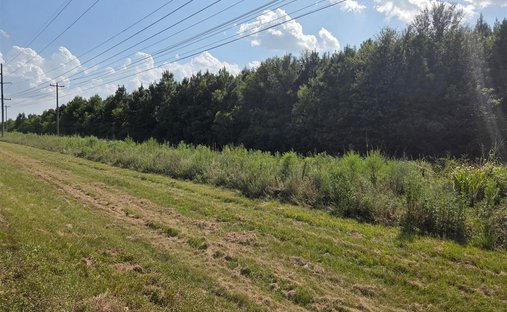 Terrain à Ragley, Louisiane, États-Unis 1