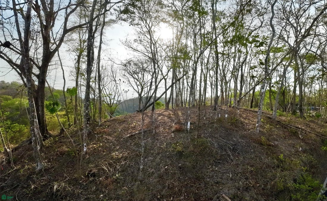 Land in Santiago, Puntarenas Province, Costa Rica 4 - 18717951