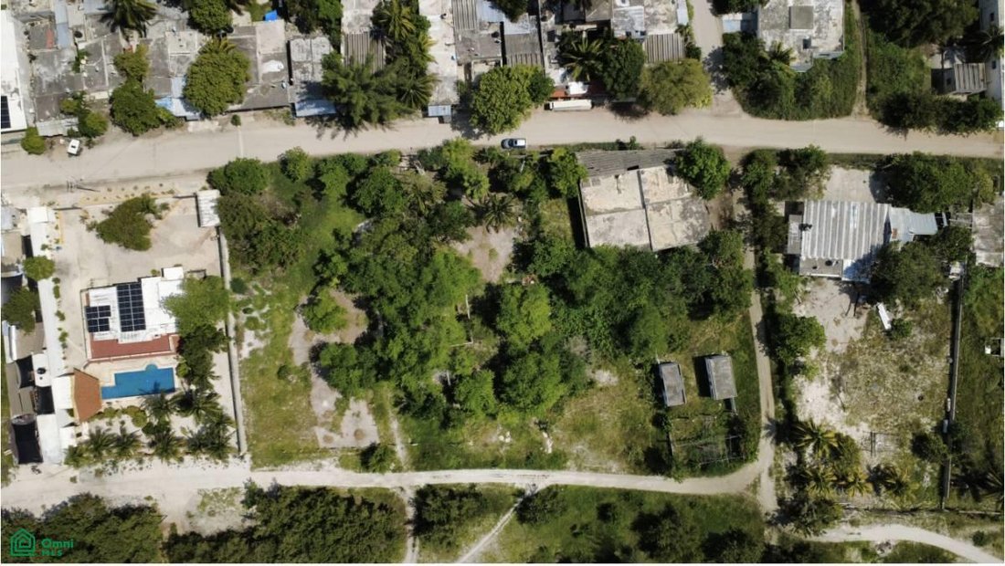 Land in Celestún, Yucatán, Mexiko 4 - 17811076