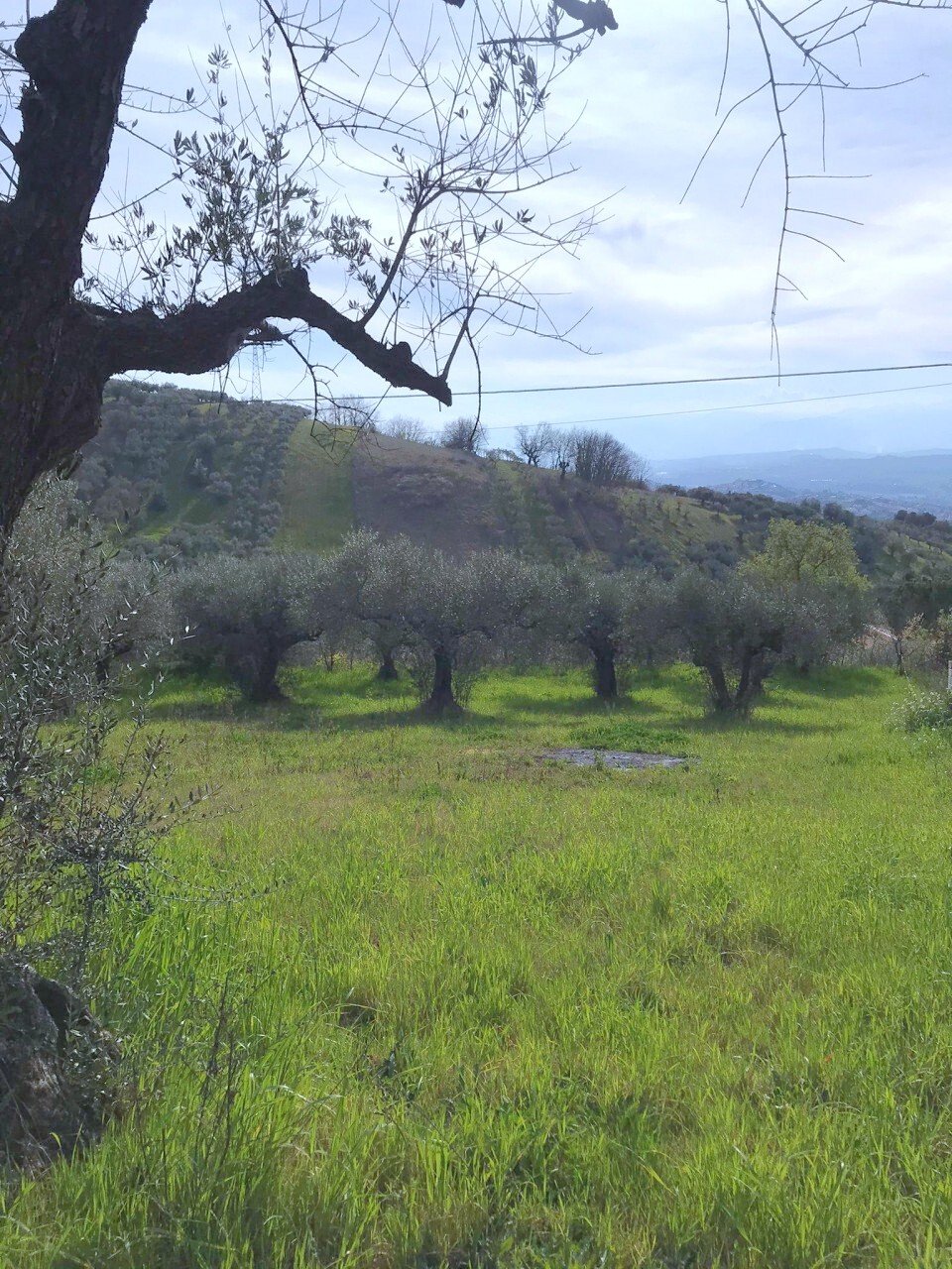 Land in Montesilvano Colle-Via Alcide de Gasperi, Montesilvano, Abruzzen 3 - 18719939