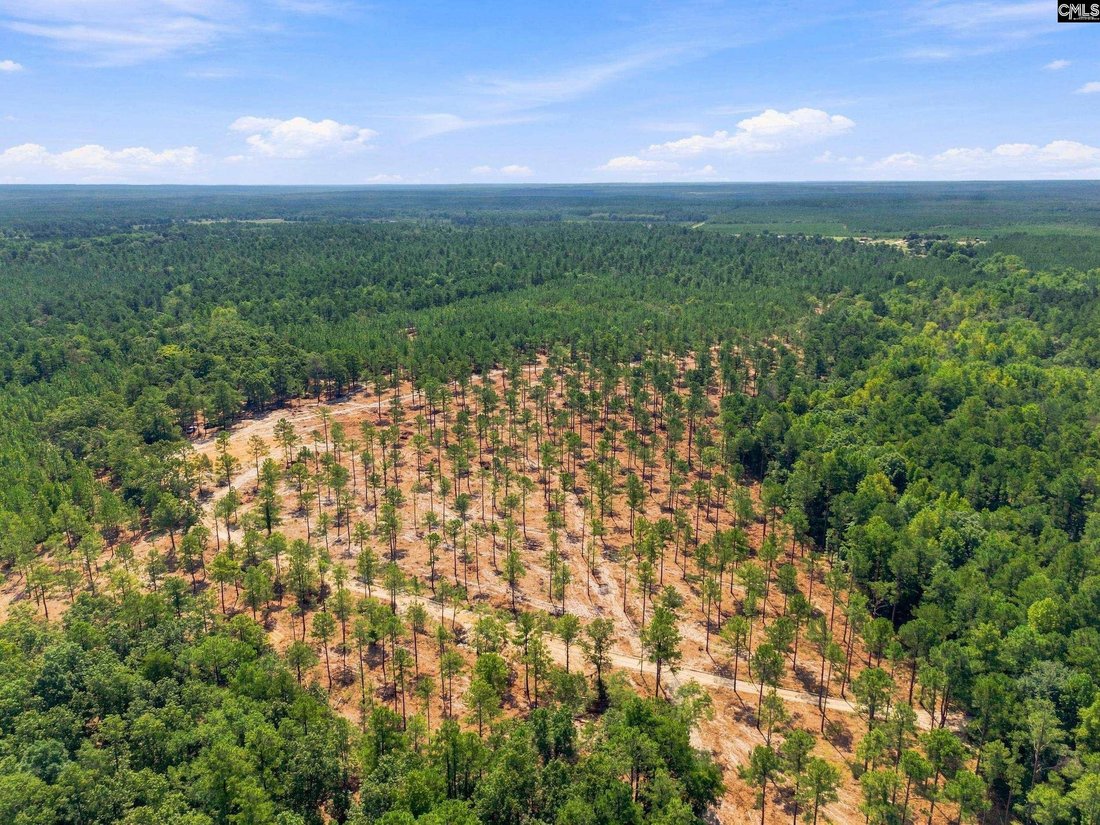 Land in Kershaw, South Carolina, United States 5 - 18342166