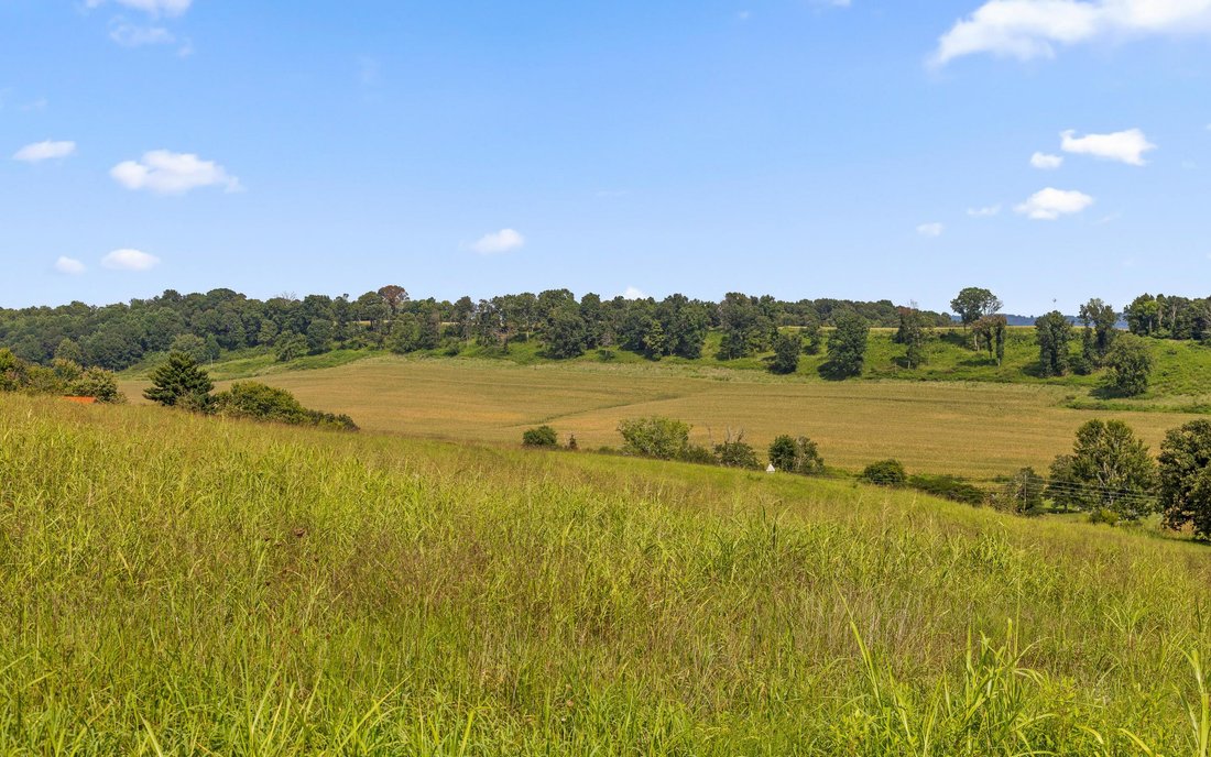 Azienda agricola a Madisonville, Tennessee, Stati Uniti 4 - 18718149