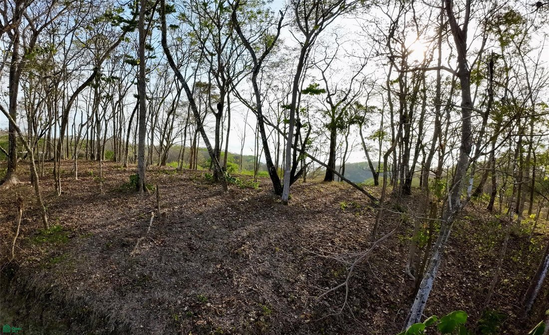 Land in Santiago, Puntarenas Province, Costa Rica 4 - 18717943