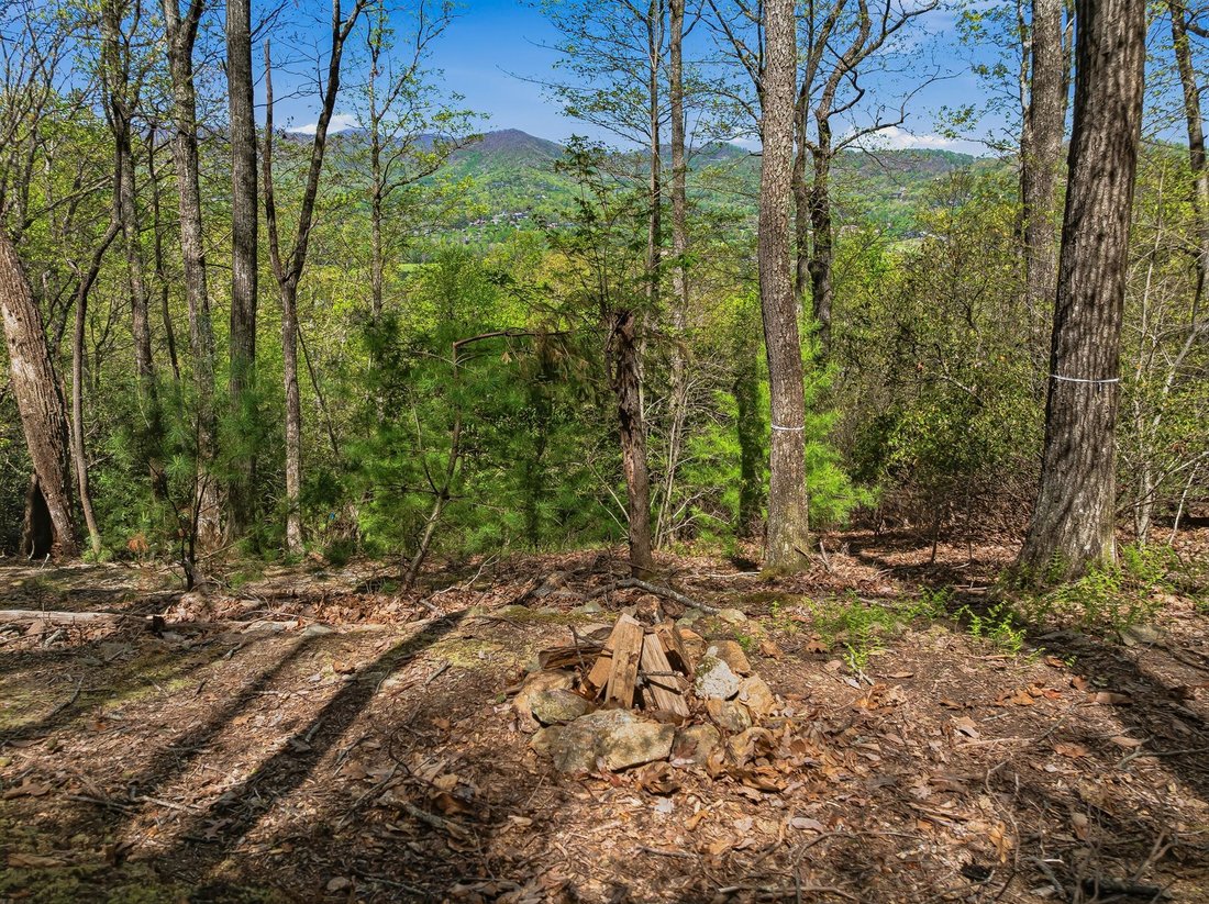 Terrain en Mills River, Caroline du Nord, États-Unis 4 - 17732138