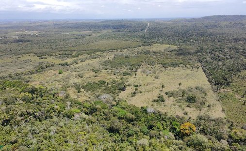 Terrain à Spanish Lookout, District de Cayo, Belize 1