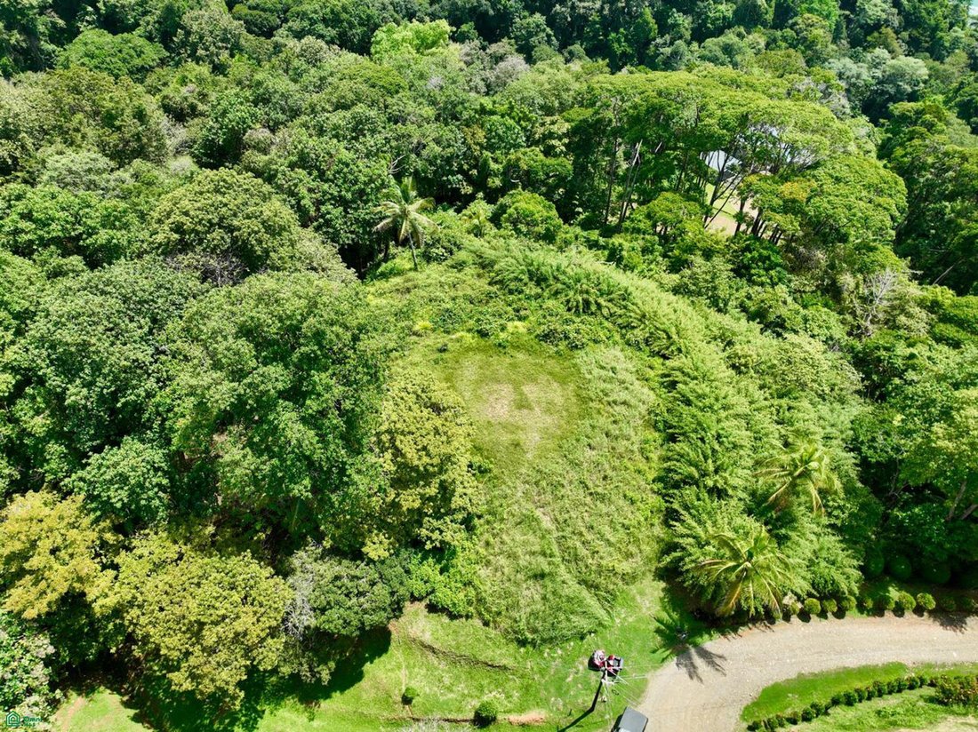 Land in Savegre de Aguirre, Provinz Puntarenas, Costa Rica 4 - 18056203